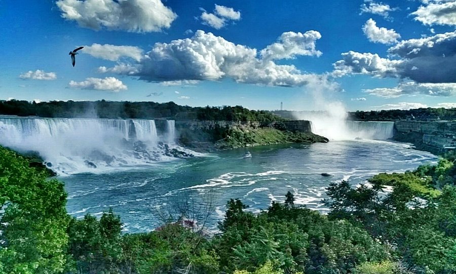 Niagara Falls Trip